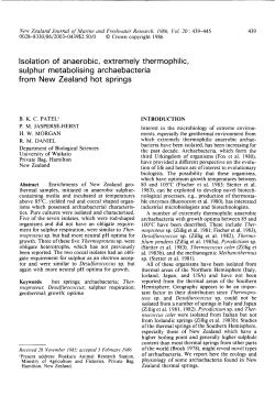 Patel et al.&mdash;Archaebacteria from New Zealand hot