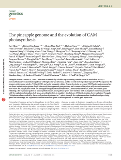 The pineapple genome and the evolution of CAM photosynthesis