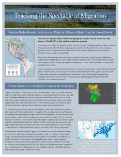 Tracking the Spectacle of Migration