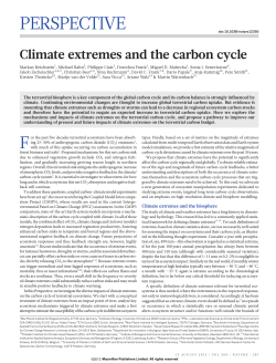 Climate extremes and the carbon cycle