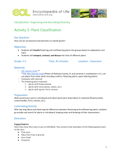 Plant Classification - EOL Learning + Education