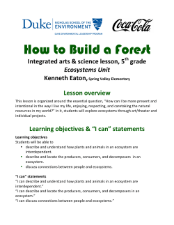 How to Build a Forest