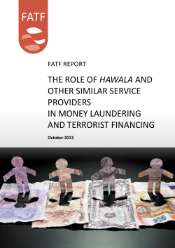 The Role of Hawala and Other Similar Service Providers in