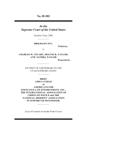 amicus brief