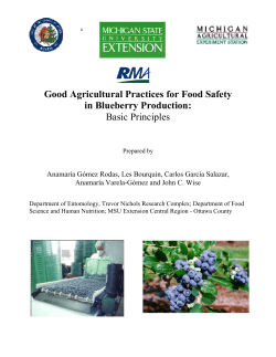 Good Agricultural Practices for Food Safety in Blueberry Production