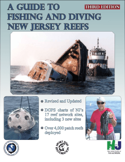 a guide to fishing and diving new jersey reefs