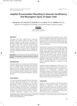 Jellyfish Envenomation Resulting In Vascular Insufficiency And