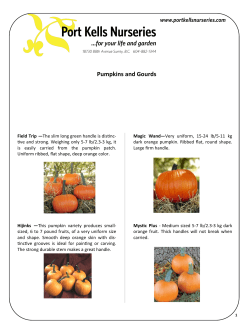 Pumpkins and Gourds - Port Kells Nurseries