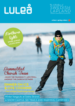 swedish lapland