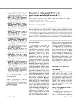 Isolation of high-quality RNA from gymnosperm and angiosperm trees