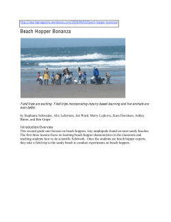 Beach Hopper Bonanza
