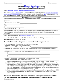 Internet Karyotyping Activity