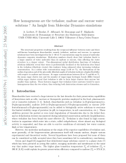 How homogeneous are the trehalose, maltose and sucrose water