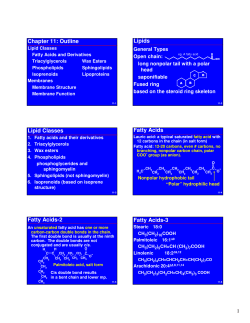 Chapter 11: Outline Lipids Lipid Classes Fatty Acids Fatty Acids