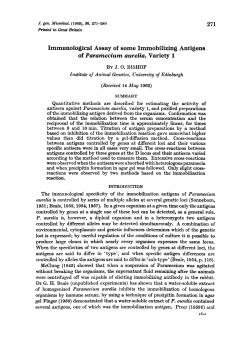 of Paramecium aurelia, Variety 1