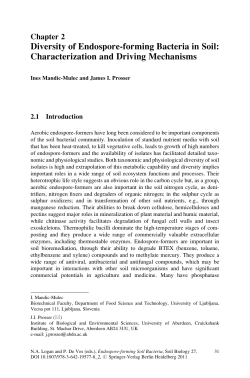 Diversity of Endospore-forming Bacteria in Soil