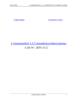 3-Aminomethyl-3,5,5-trimethylcyclohexylamine CAS N&deg;: 2855-13-2