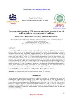 Exogenous administration of EGF augments nucleic acid