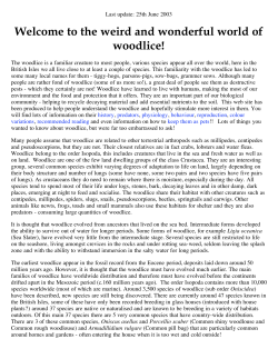 the weird and wonderful world of woodlice!