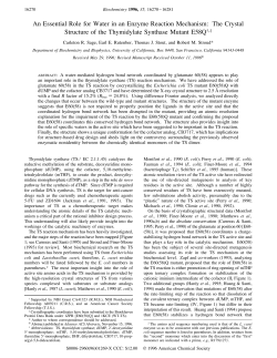 An Essential Role for Water in an Enzyme Reaction Mechanism: The