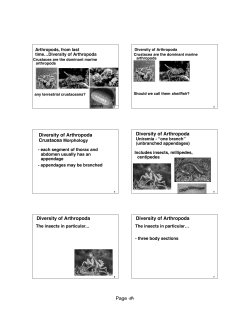 6 slides per page