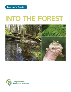 Into the Forest - Oregon Forest Resources Institute