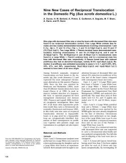 Nine New Cases of Reciprocal Translocation in the Domestic Pig