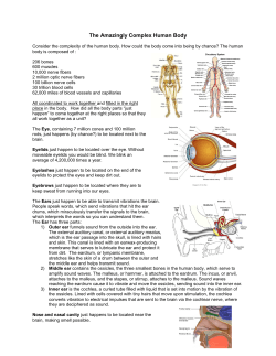 The Amazingly Complex Human Body
