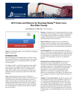 2015 Costs and Returns for Roundup Ready Grain Corn, Box Elder