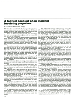 A factual account of an incident involving porpoises