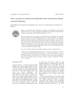 New records of marine invertebrates from Ascension Island (central