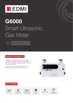 G6000 Smart Ultrasonic Gas Meter