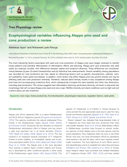 Ecophysiological variables influencing Aleppo