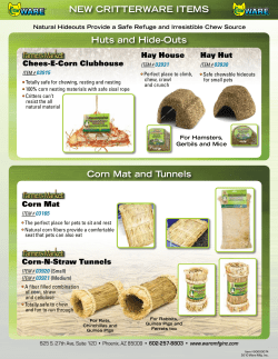 NEW CRITTERWARE ITEMS Huts and Hide