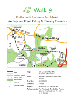 updated May 2015 - Witley Parish Council