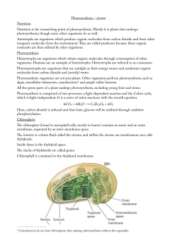 Photosynthesis