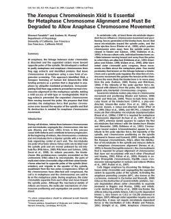 The Xenopus Chromokinesin Xkid Is Essential for Metaphase