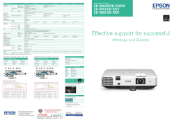 Effective support for successful