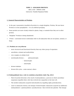1. General Characteristics of Protista