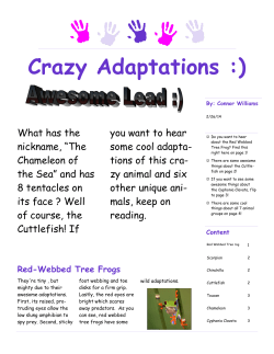 Crazy Adaptations :)