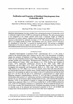 Purification and Properties of Histidinol