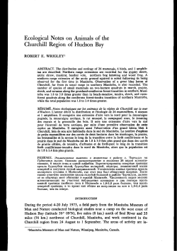 Ecological Notes on Animals of the ChurAill Region of Hudson Bay