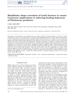 Mandibular shape correlates of tooth fracture in extant Carnivora