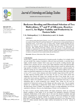 Backcross Breeding and Directional Selection of Two Multivoltines