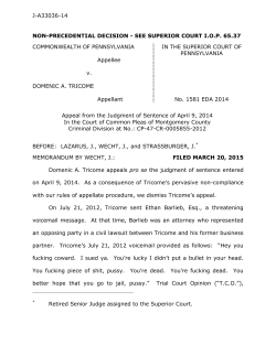 j-a33036-14 non-precedential decision