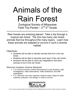 Animals of the Rain Forest - Zoological Society of Milwaukee