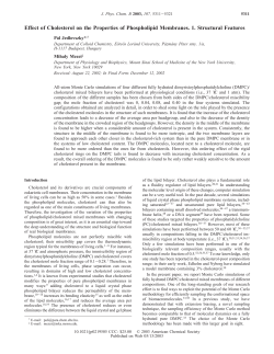 Effect of Cholesterol on the Properties of Phospholipid Membranes