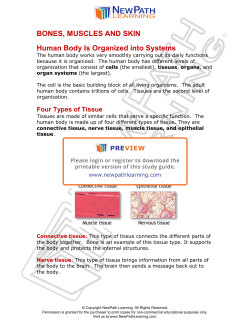 Organs - NewPath Learning