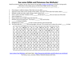 See some Edible and Poisonous Sea Mollusks!