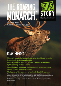 The roaring monarch - Scottish Natural Heritage